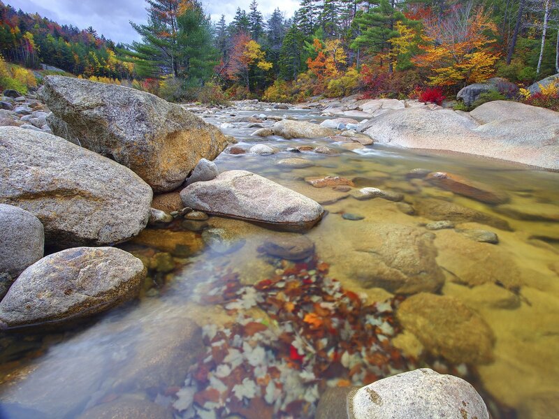 Autumn river with colorful foliage