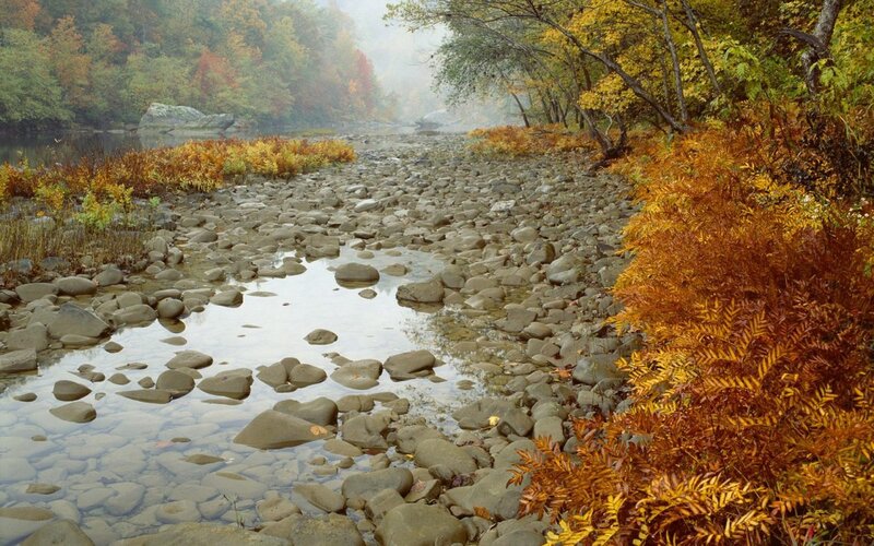 Autumn river with colorful foliage