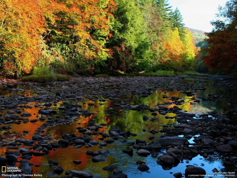 Autumn river with colorful foliage