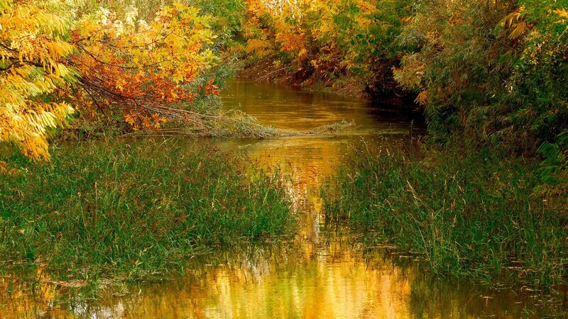 Autumn river with colorful foliage