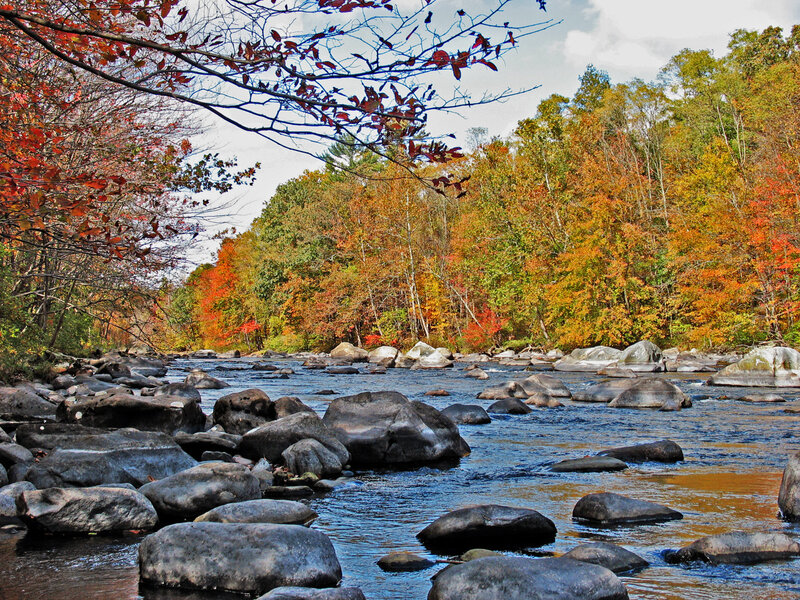 Autumn river with colorful foliage