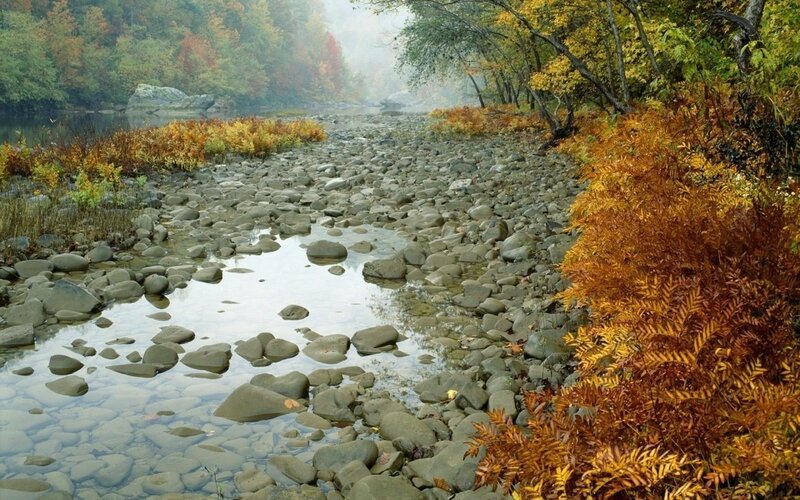 Autumn river with colorful foliage