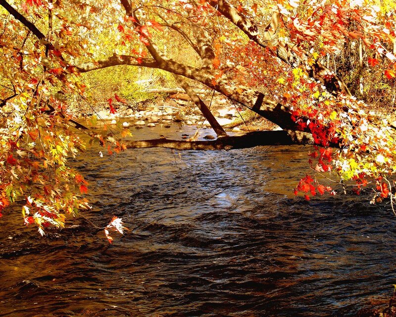 Autumn river with colorful leaves