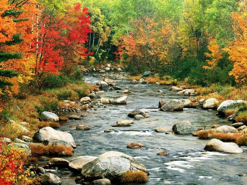 Autumn river with colorful trees