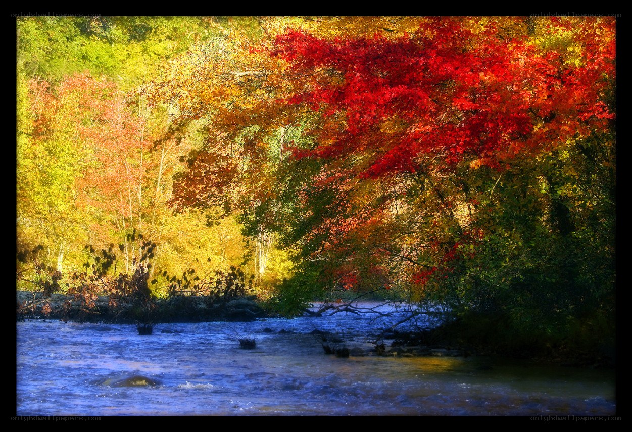 Autumn river with colorful trees