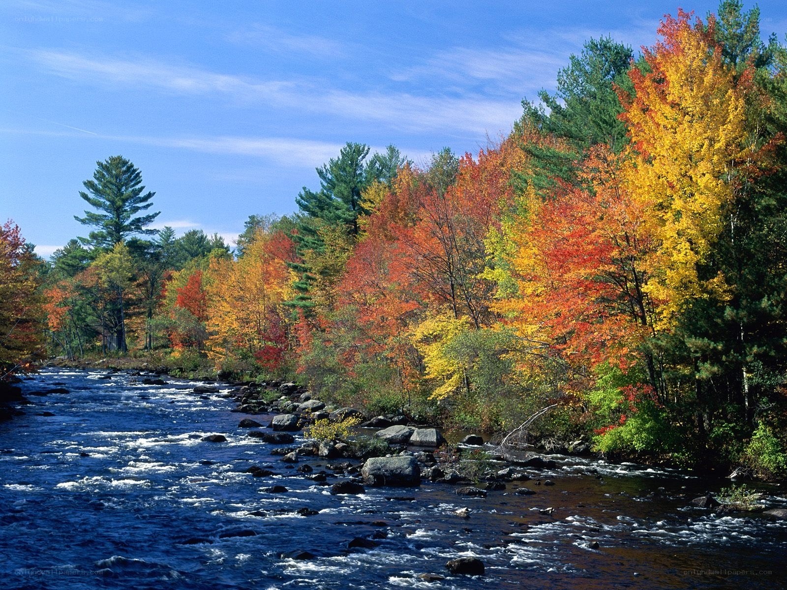 Autumn river with colorful trees