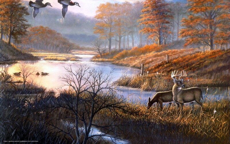 Autumn river with deer and ducks