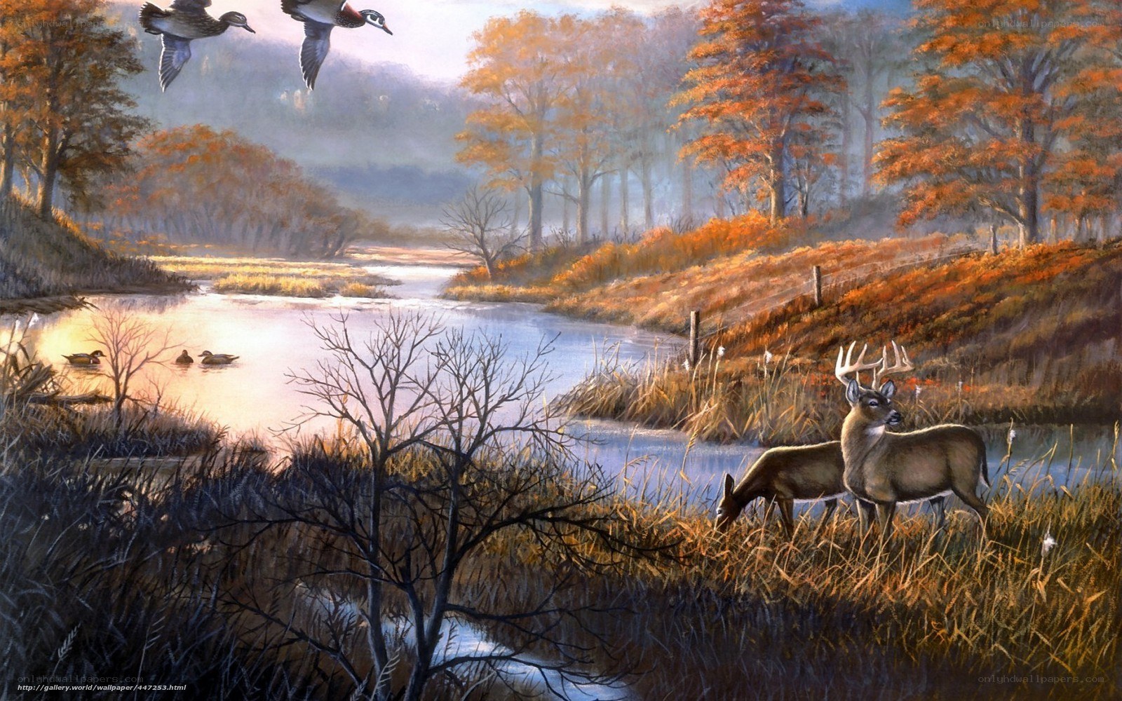 Autumn river with deer and ducks