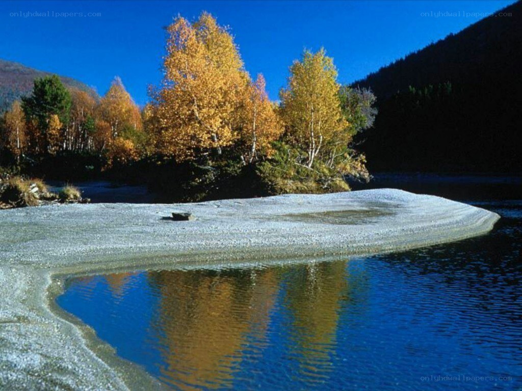 Autumn river with golden trees