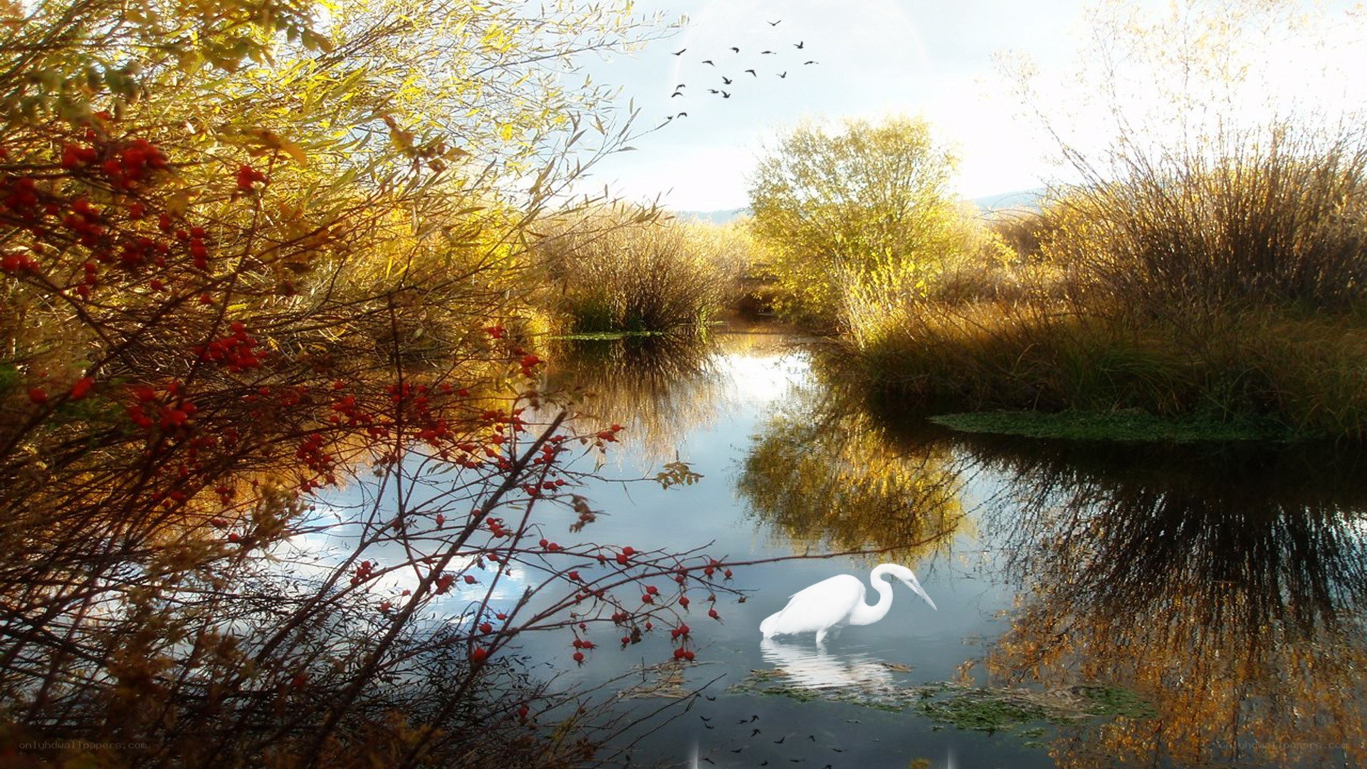 Autumn river with heron
