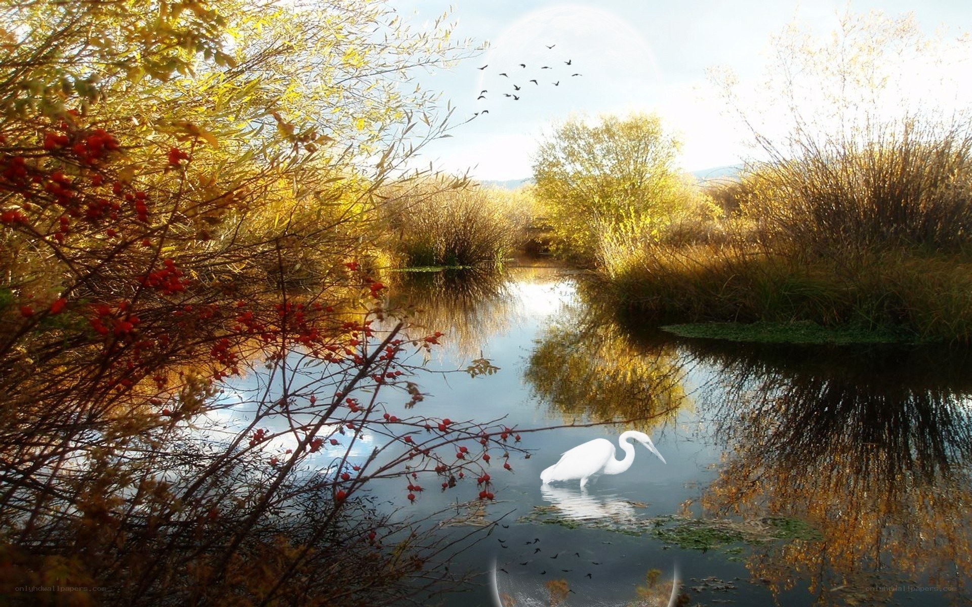 Autumn river with heron