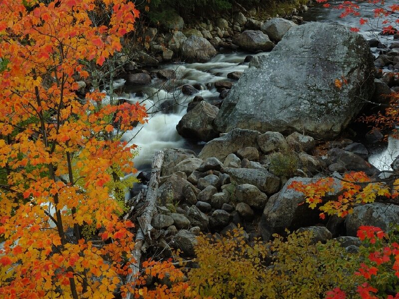 Autumn River with Rocks