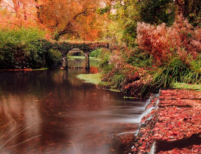 Autumn River with Stone Bridge — Red