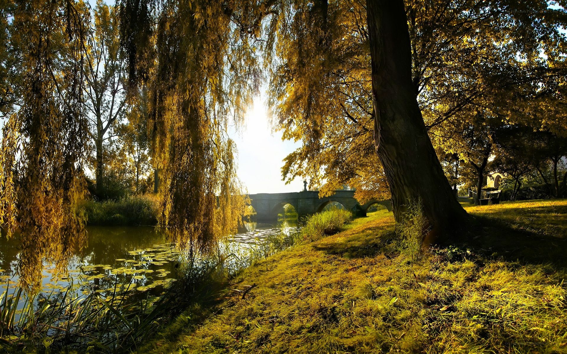 Autumn river with stone bridge