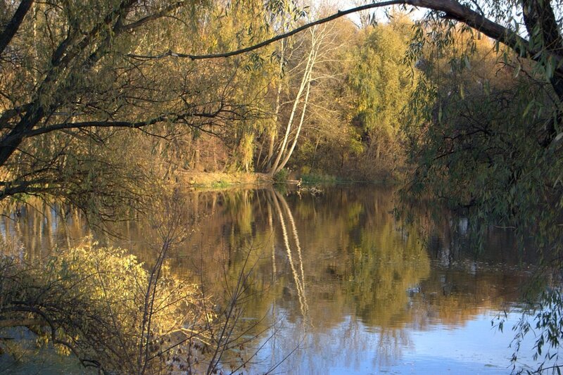 Autumn river with tree reflections