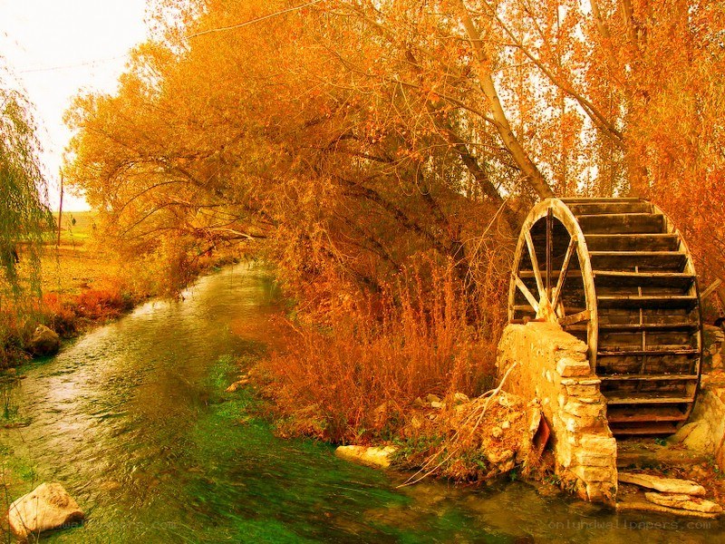 Autumn river with waterwheel