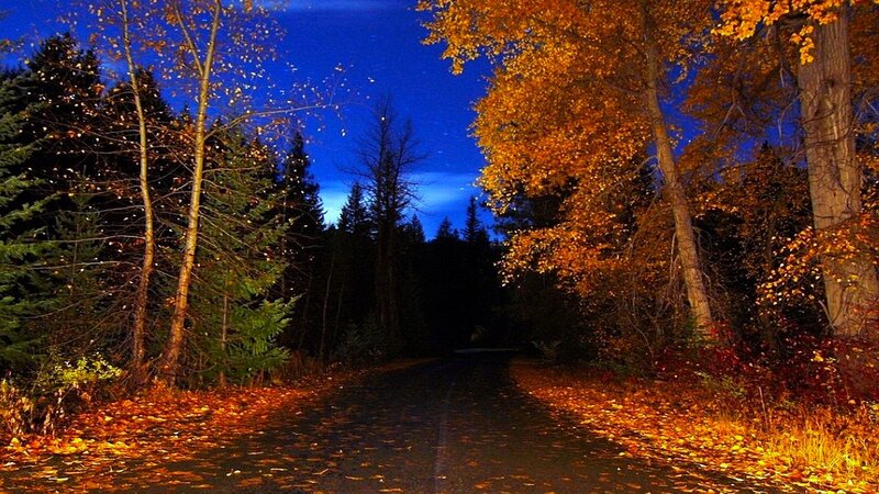 Autumn Road at Night — Blue