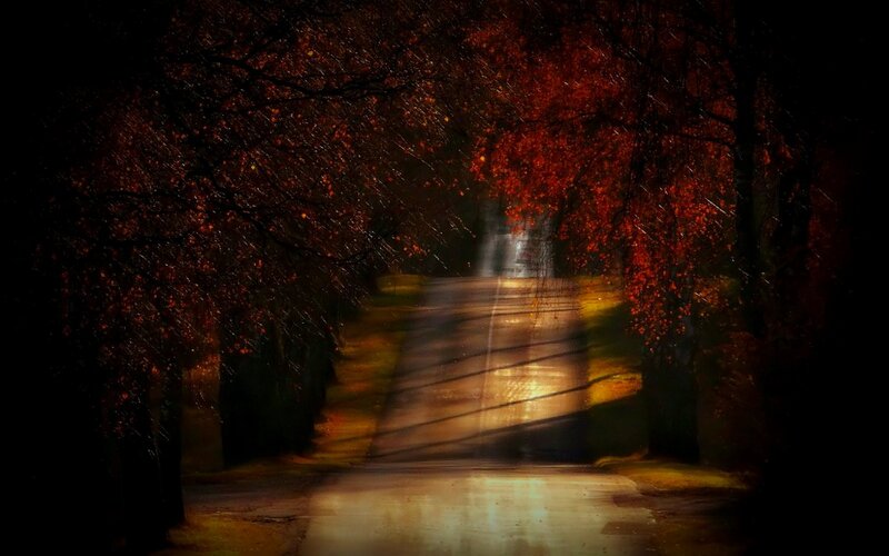 Autumn Road at Night — Red