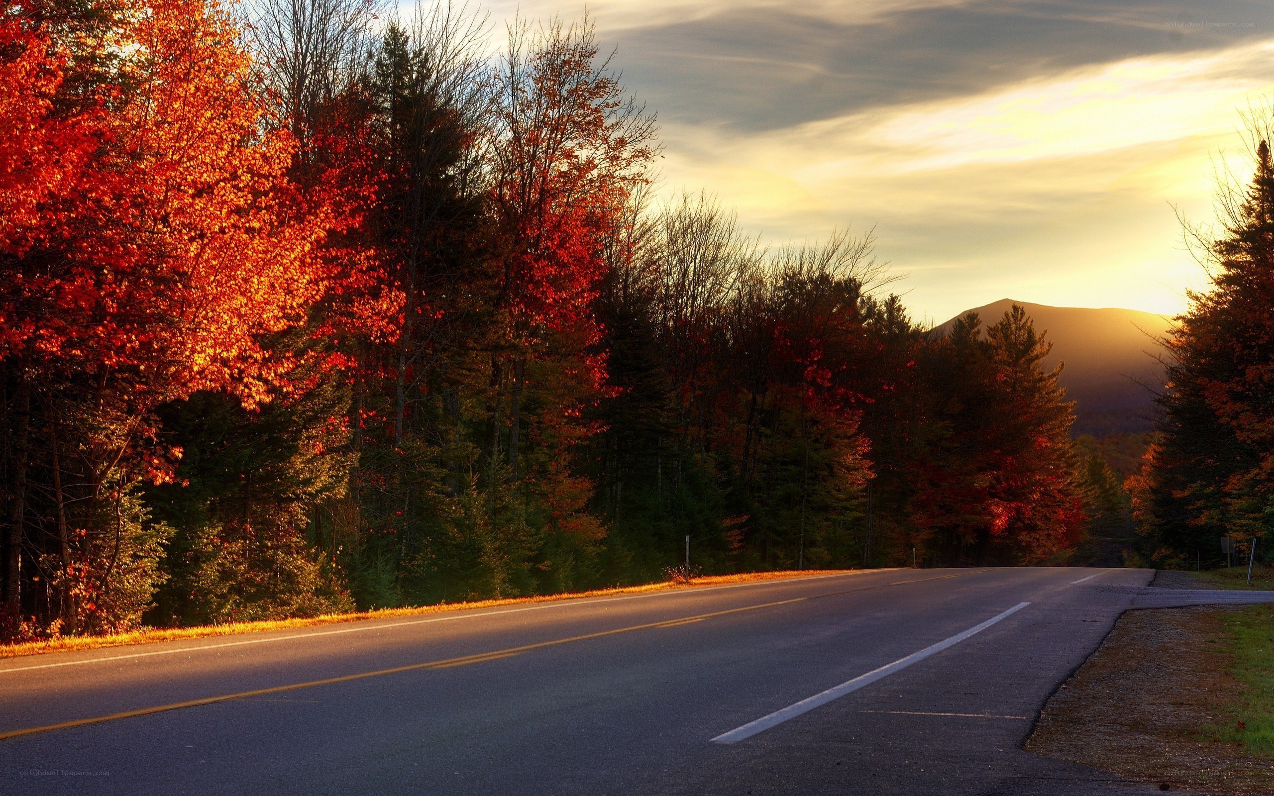 Autumn road at sunset