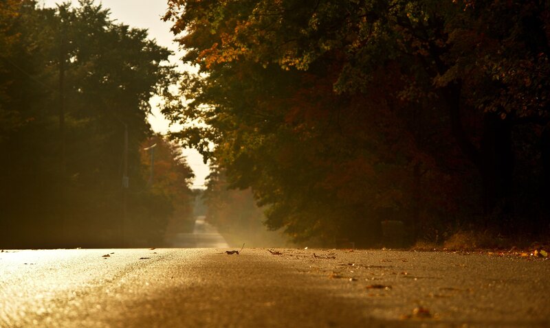 Autumn road at sunset