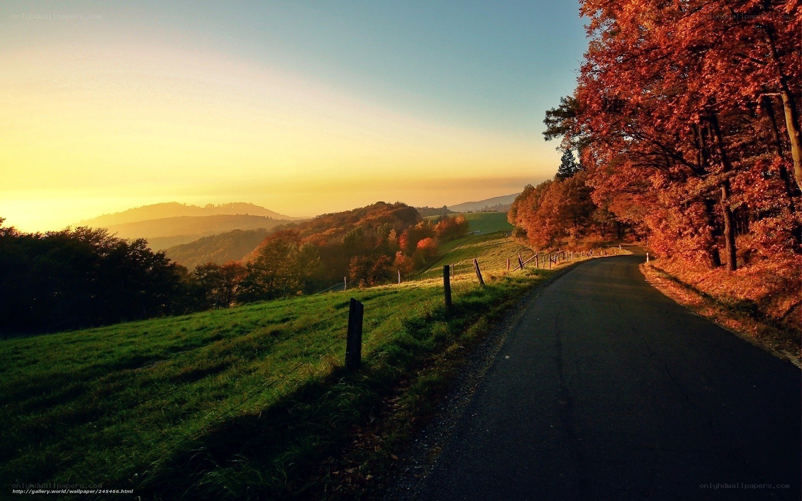 Autumn road at sunset