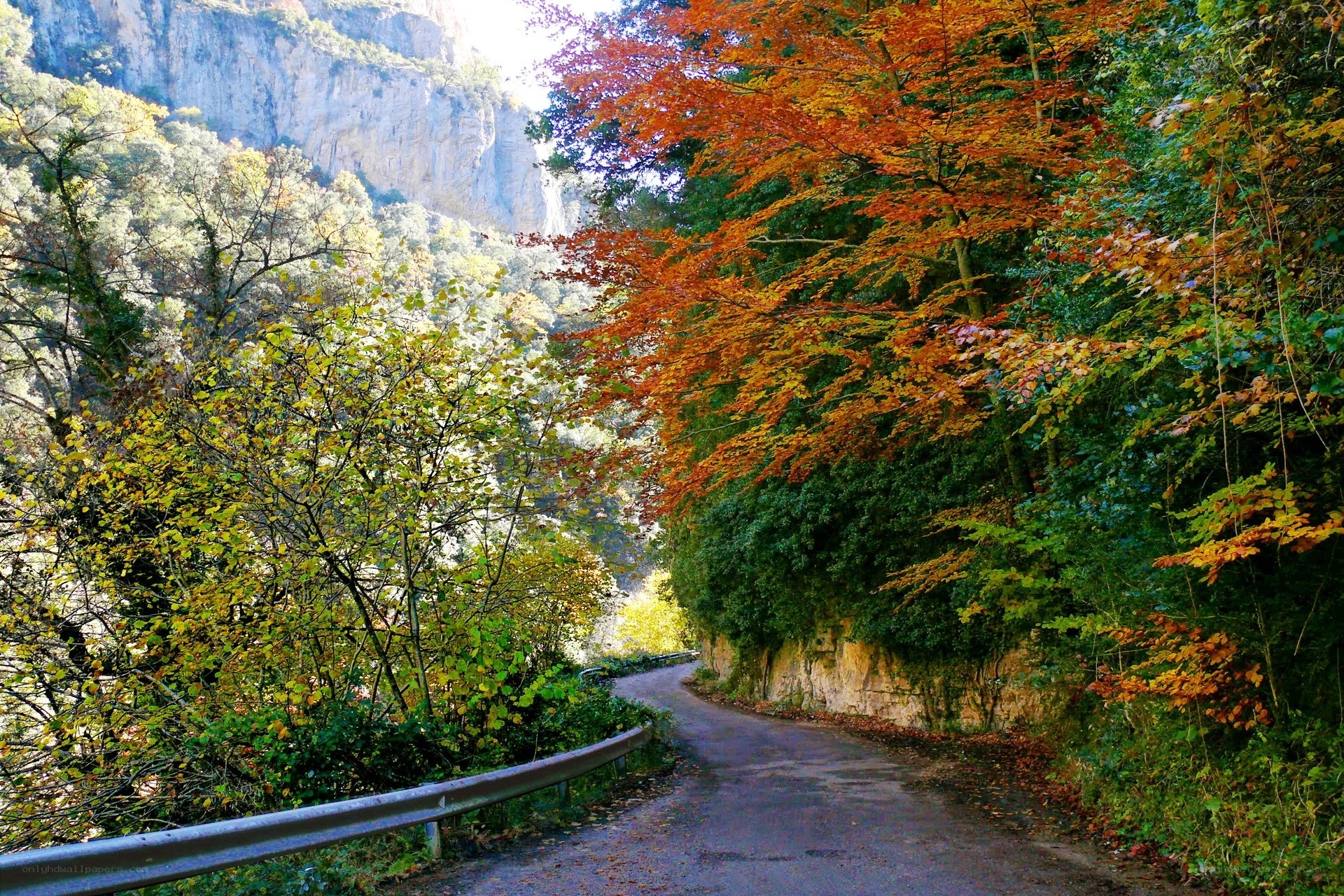 Autumn road in a mountain valley