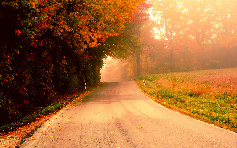 Autumn Road in Fog