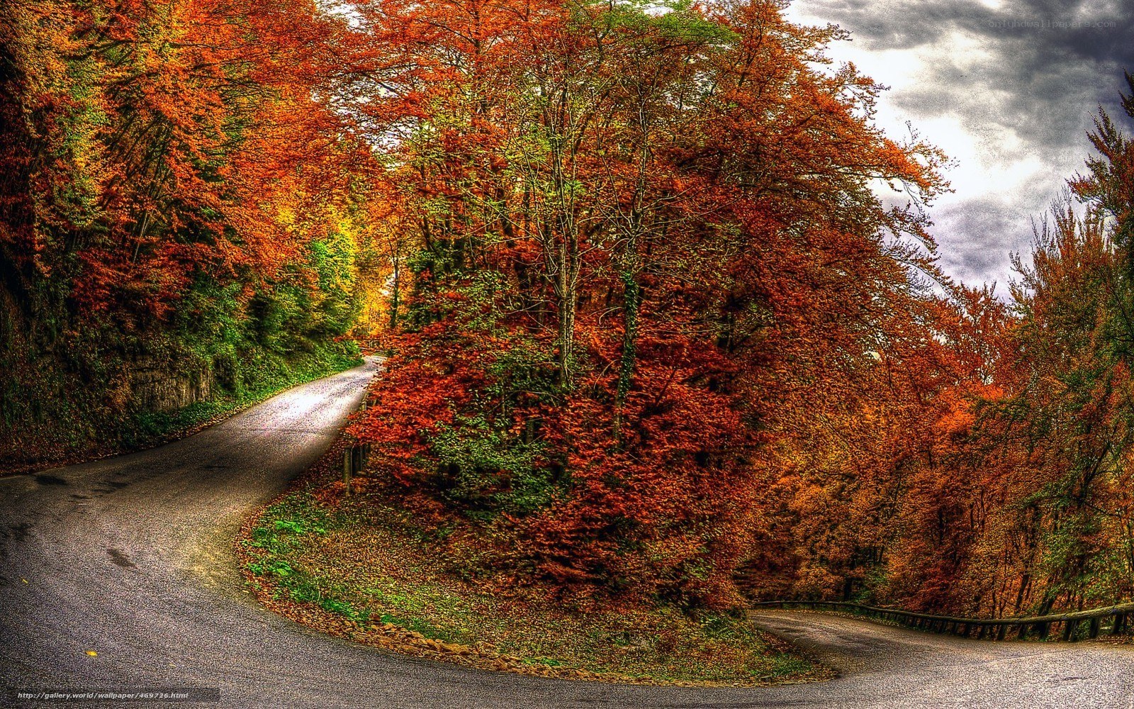 Autumn road in forest