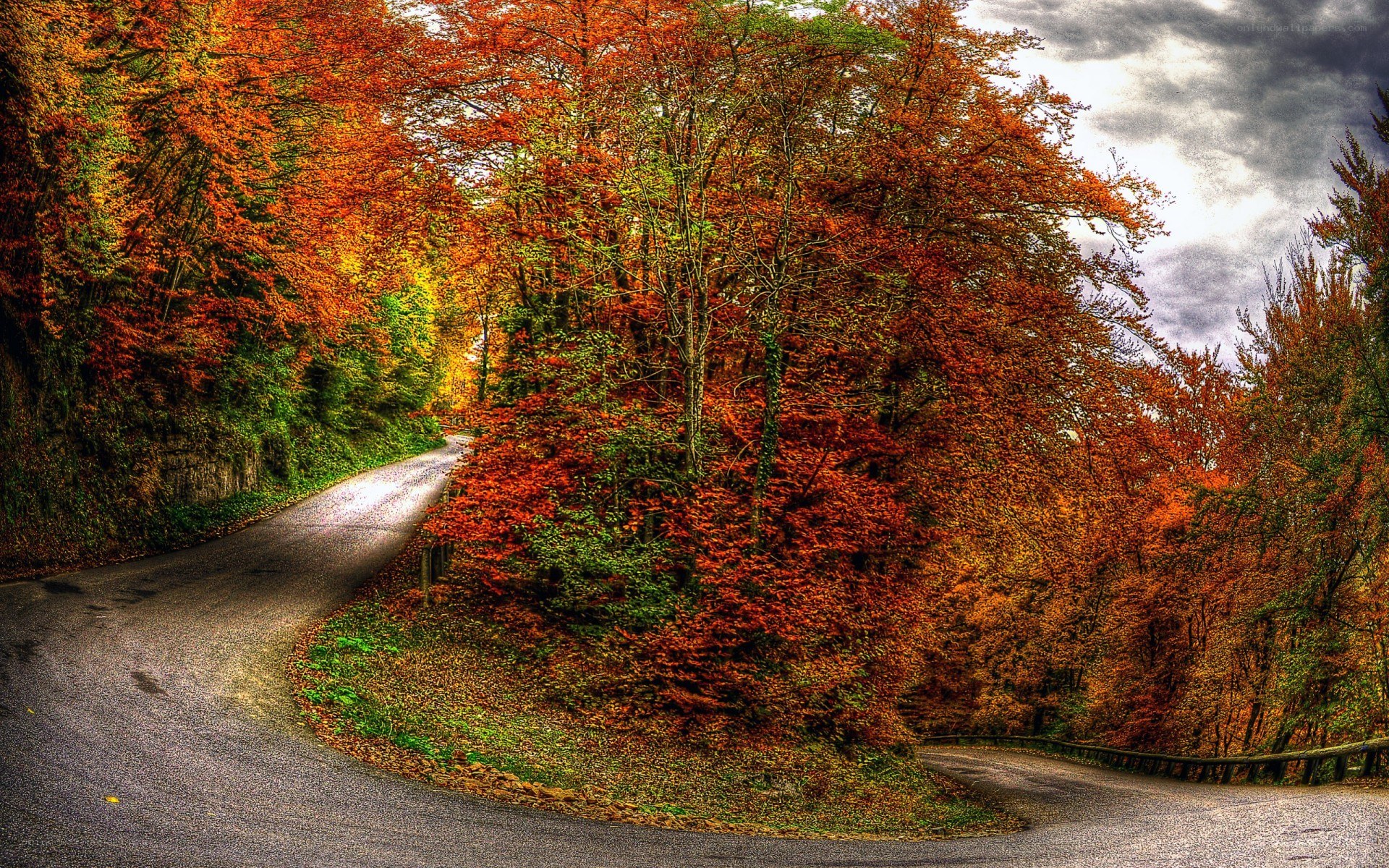 Autumn road in forest