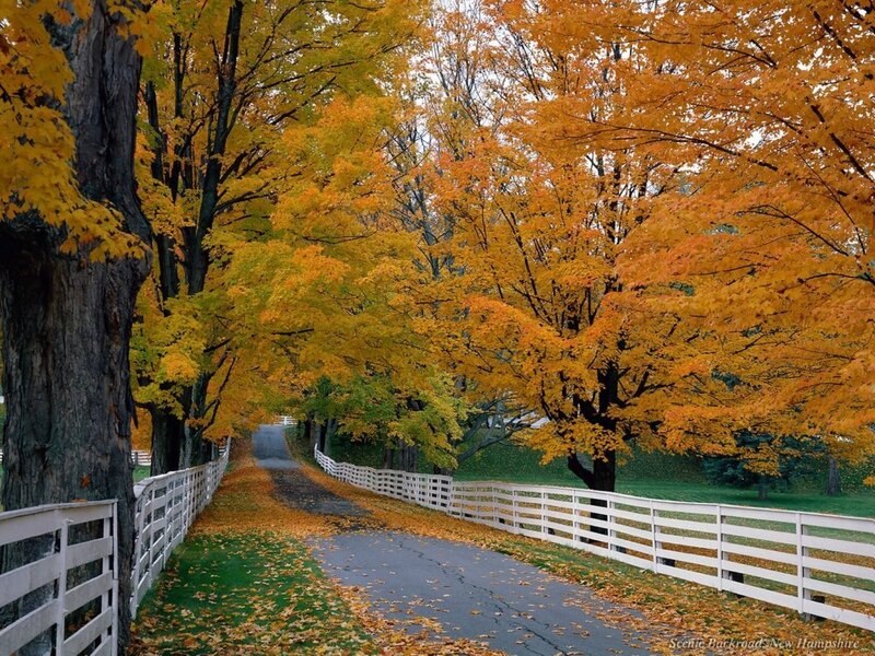 Autumn road in New Hampshire