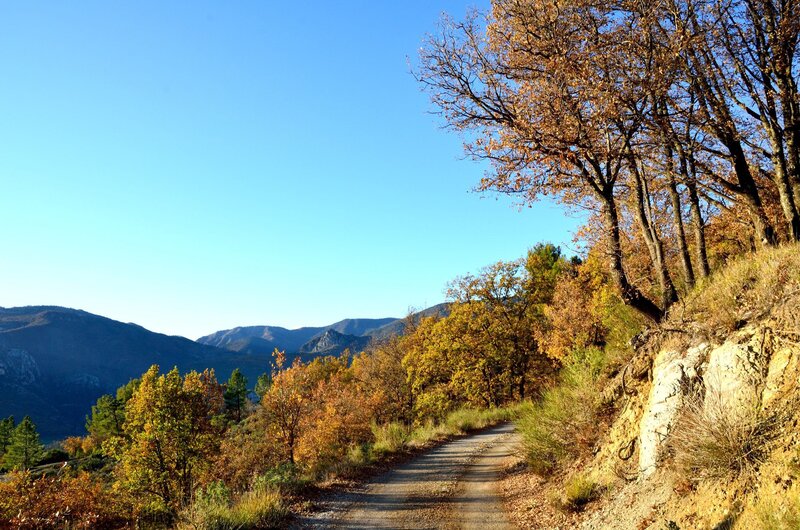 Autumn road in the mountains