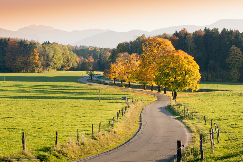 Autumn road through green fields