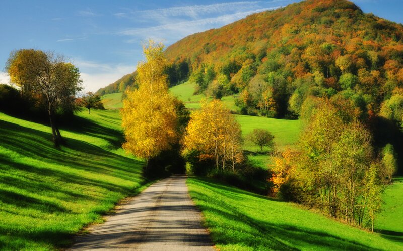 Autumn Road Through Hills — Green
