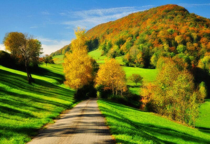 Autumn Road Through Hills