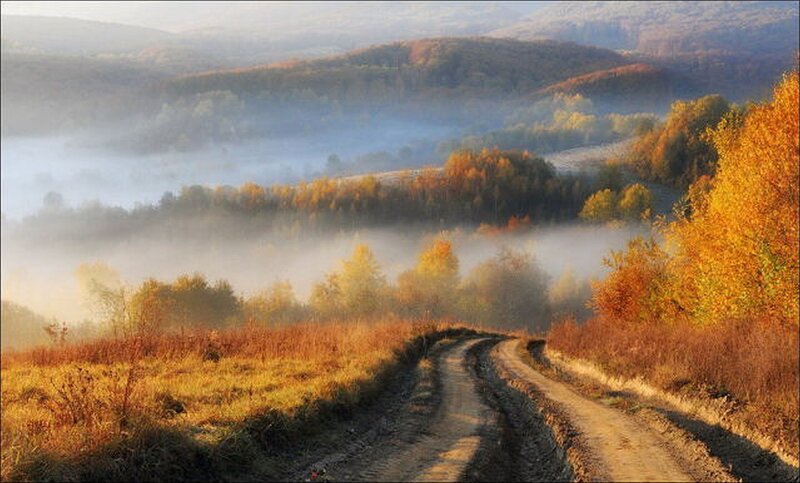 Autumn road through misty hills