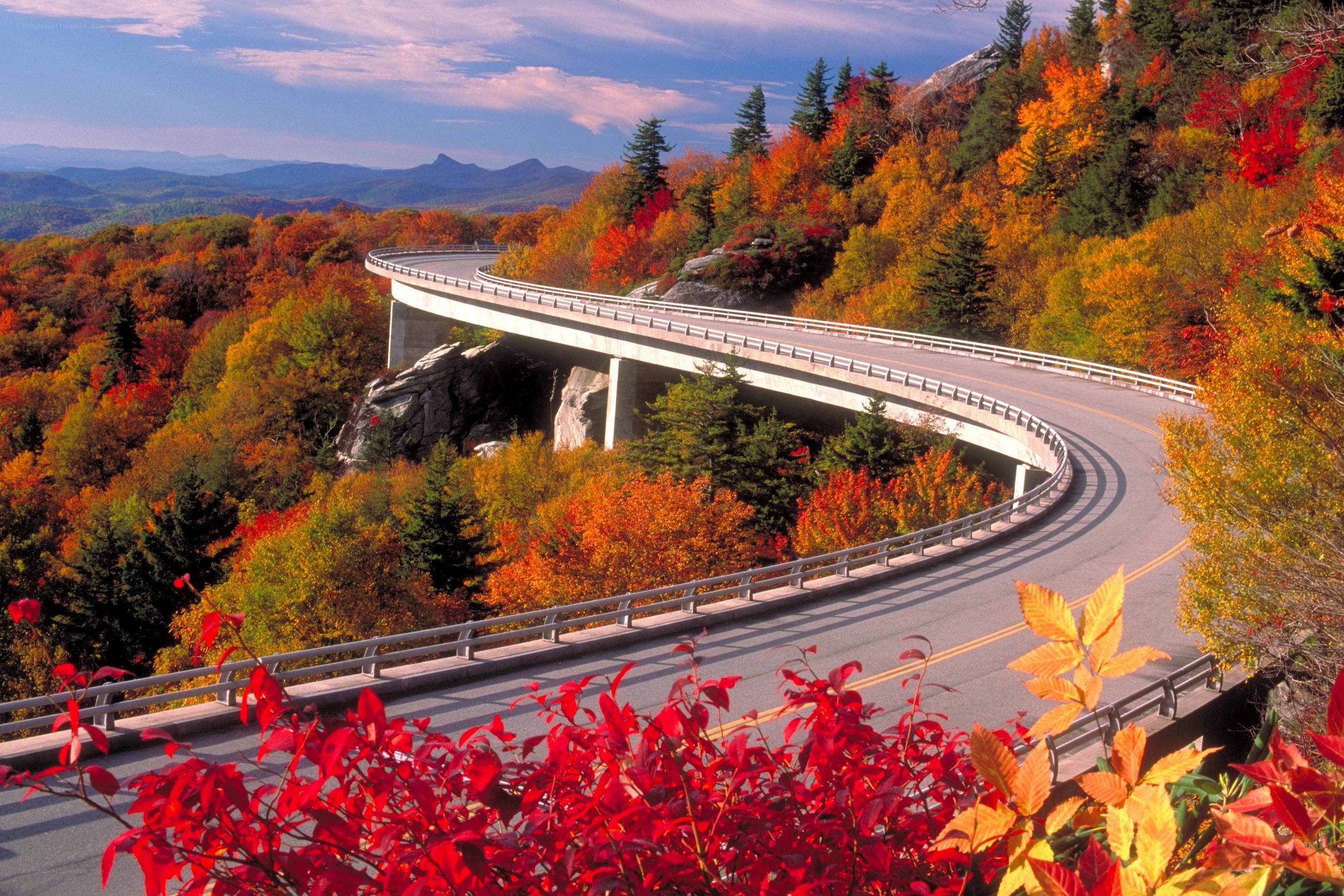 Autumn road through mountain forest