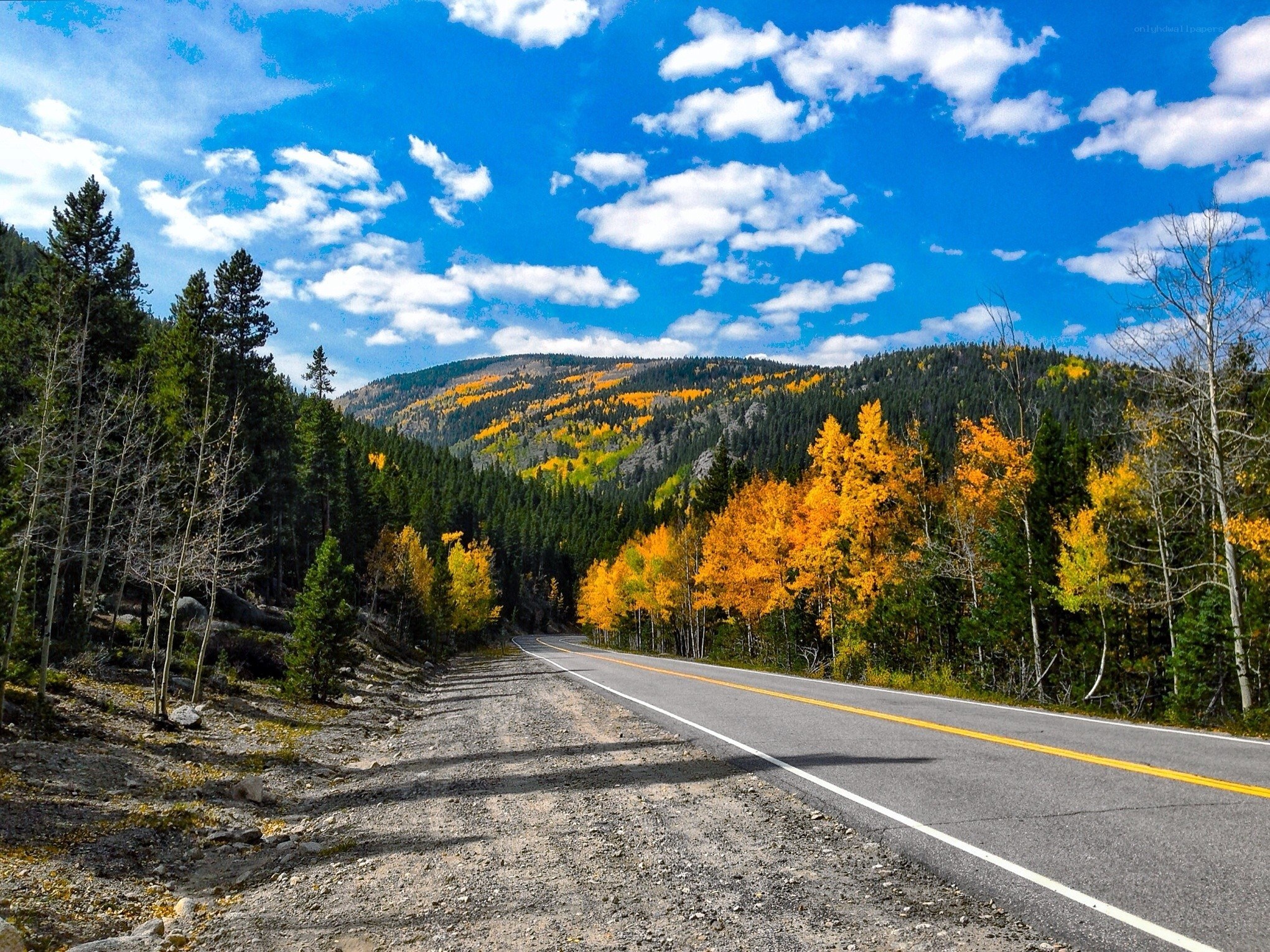 Autumn road through mountain forest