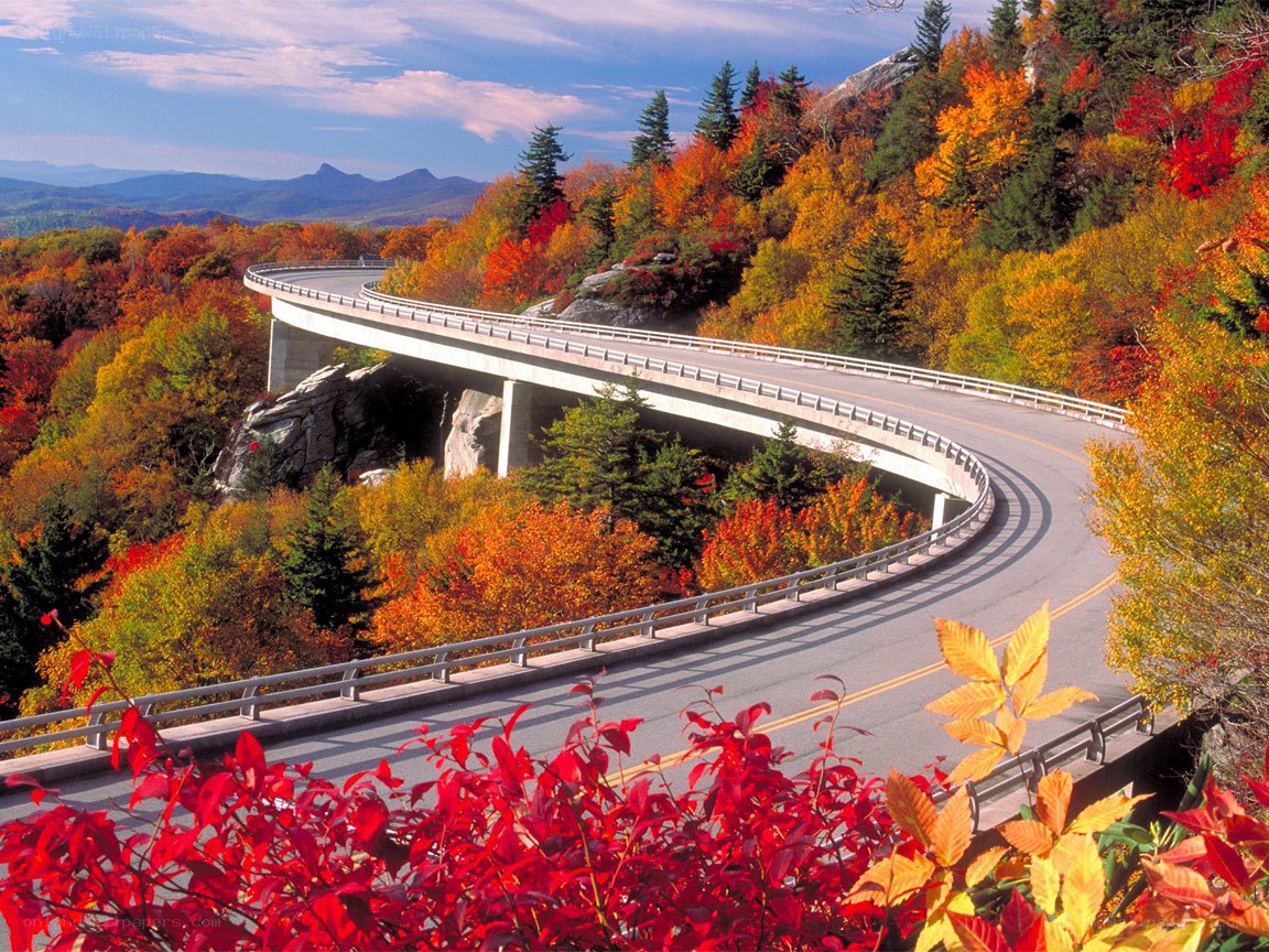 Autumn road through mountain forest