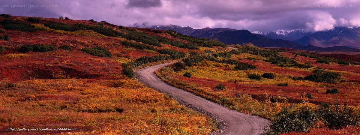 Autumn road through mountain landscape