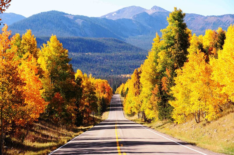 Autumn Road Through Mountains