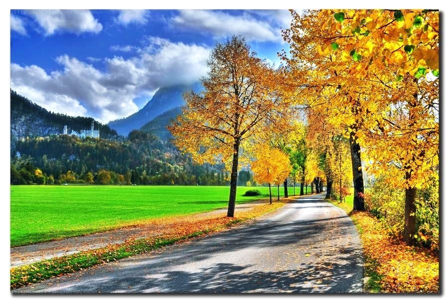 Autumn road to Neuschwanstein