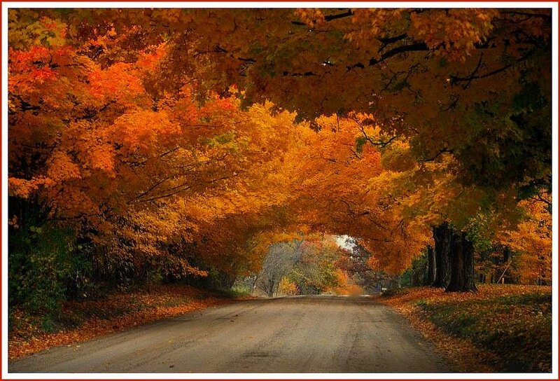 Autumn road tunnel