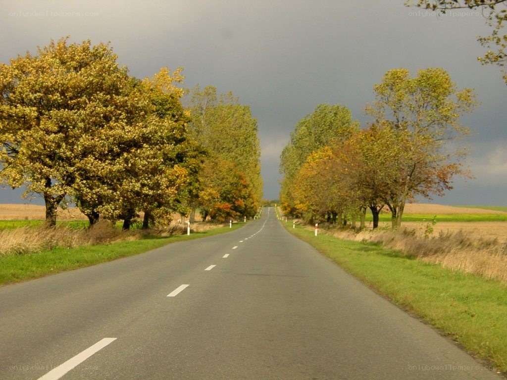 Autumn road under stormy sky