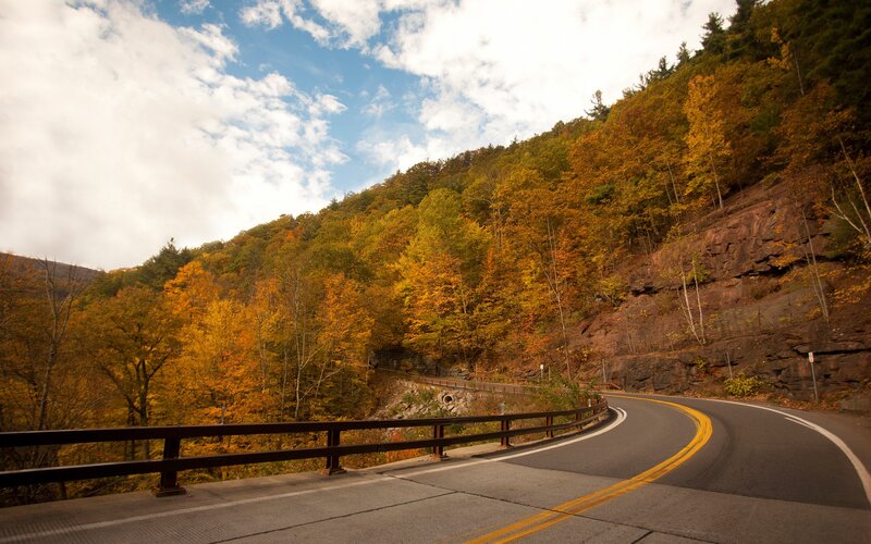 Autumn road winding through forest