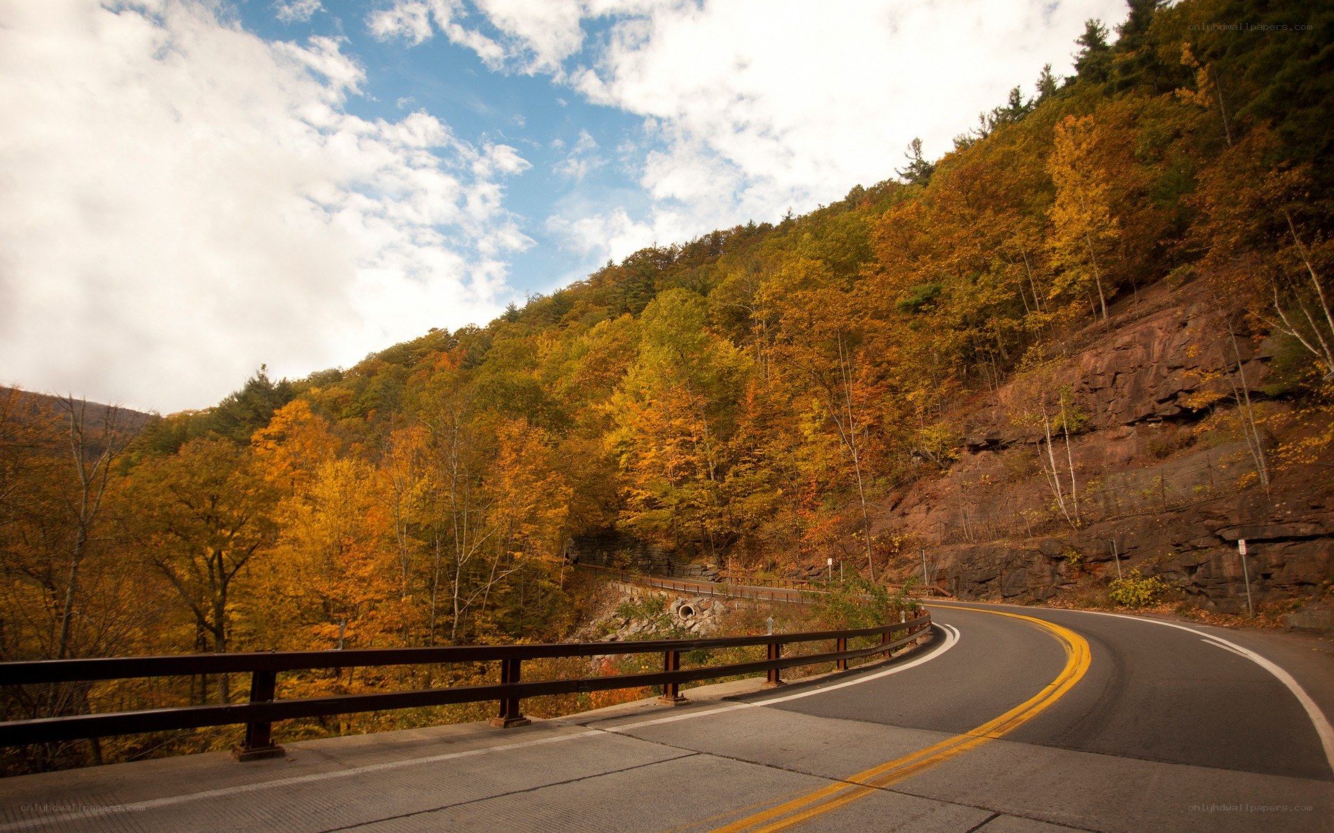 Autumn road winding through forest