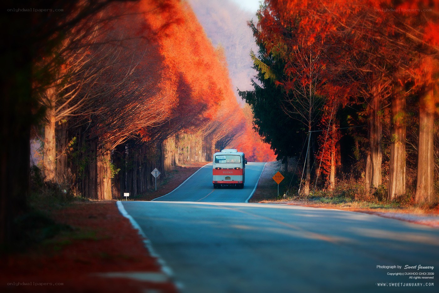 Autumn road with bus