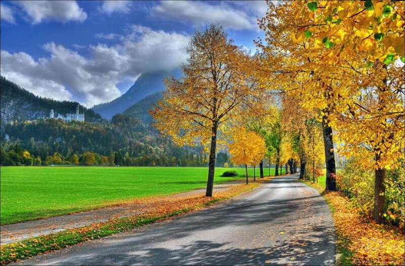 Autumn road with castle in background