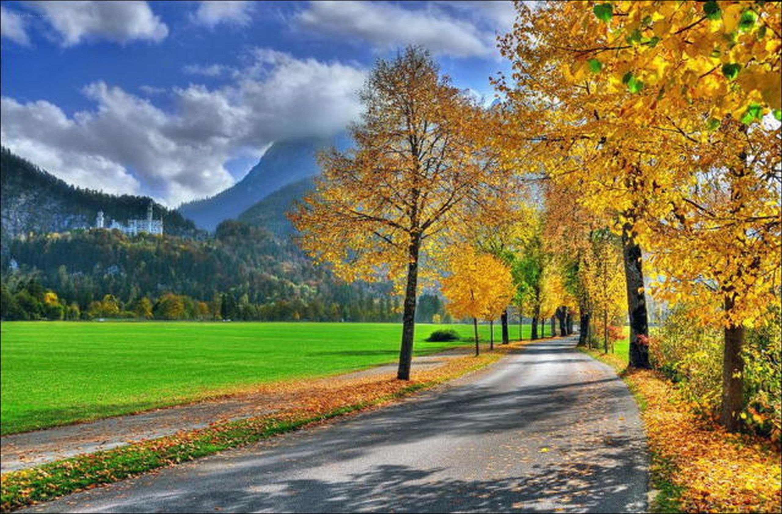 Autumn road with castle in background