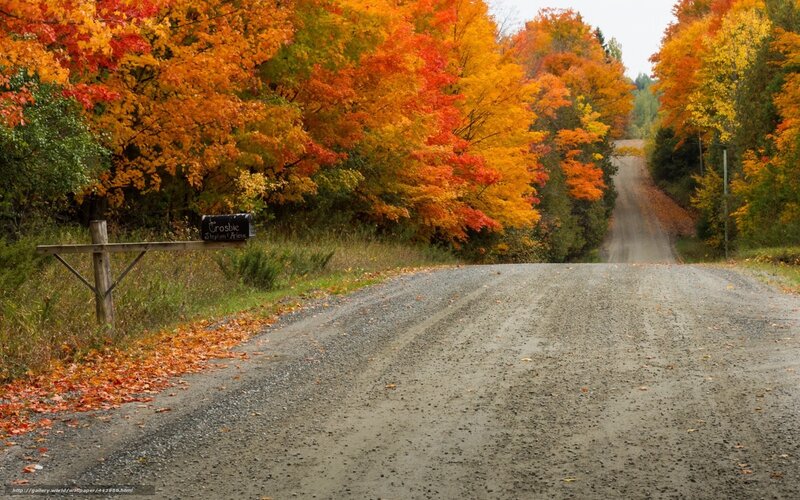 Autumn road with colorful trees