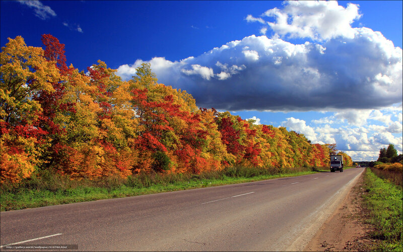 Autumn road with colorful trees
